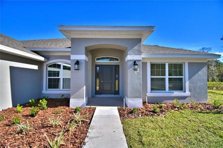 New construction Single-Family house 3699 Earhart Avenue, Lakeland, FL 33810 2508- photo 2 2