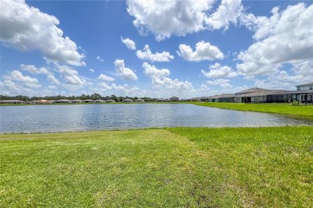 New construction Single-Family house 5206 123Rd Avenue E, Parrish, FL 34219 - photo 45 45