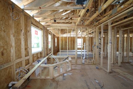 New construction Single-Family house 10634 New Morning Drive, Tampa, FL 33647 Grandshore II- photo 15 15