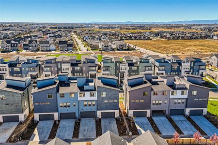 Cadence Townhomes at Central Park by Brookfield Residential in Denver - photo