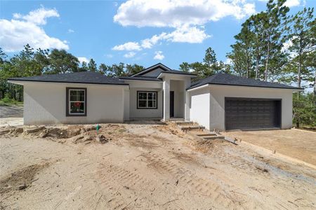 New construction Single-Family house 13359 Sw 80Th Street, Dunnellon, FL 34432 - photo 5 5