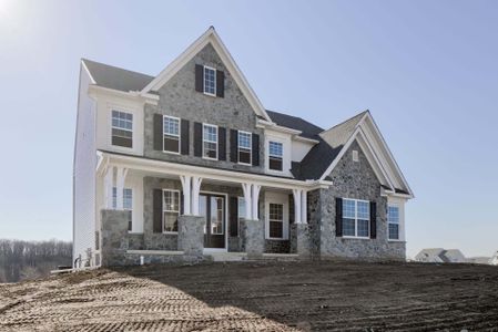 New construction Single-Family house Wilbanks Drive, Charlotte, NC 28278 - photo 373 373