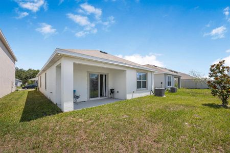 New construction Single-Family house 17009 Oval Rum Drive, Wimauma, FL 33598 - photo 31 31