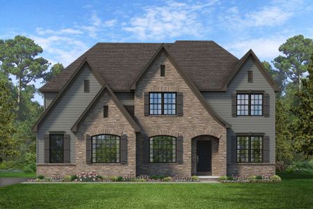 New construction Single-Family house Wilbanks Drive, Charlotte, NC 28278 - photo 218 218