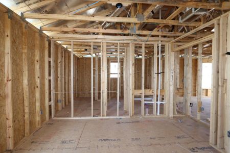 New construction Single-Family house 5254 Currant Street, Lakeland, FL 33811 Marina- photo 26 26