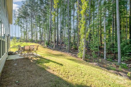 New construction Single-Family house 113 Vaughn Court, Troutman, NC 28166 - photo 45 45