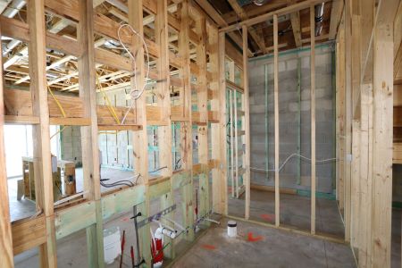 New construction Single-Family house 2857 Misty Marble Drive, Zephyrhills, FL 33540 Castellana- photo 34 34