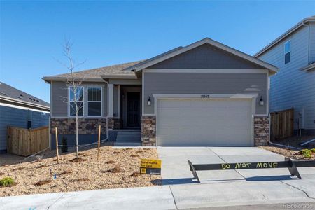 New construction Single-Family house 2045 Peachleaf Loop, Castle Rock, CO 80108 1818- photo 0