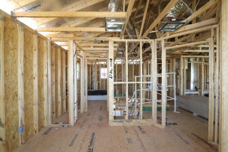 New construction Single-Family house 31835 Sapna Chime Drive, Wesley Chapel, FL 33545 Salinas- photo 30 30
