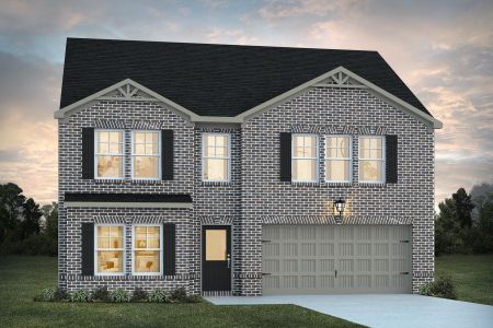 New construction Single-Family house Revolutionary Drive, Hampton, GA 30228 - photo 10 10