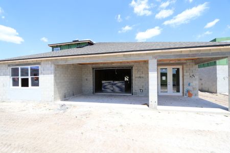 New construction Single-Family house 10609 New Morning Drive, Tampa, FL 33647 Corina  III Bonus- photo 29 29