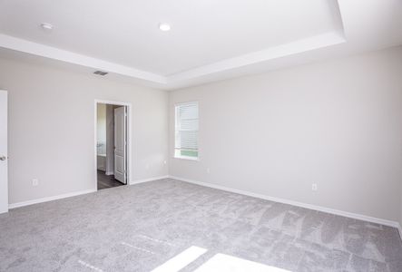 New construction Single-Family house 2296 West Mustang Boulevard, Beverly Hills, FL 34465 - photo 29 29