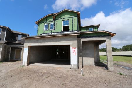 New construction Single-Family house 2885 Misty Marble Drive, Zephyrhills, FL 33540 Herrera- photo 25 25