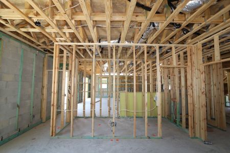 New construction Single-Family house 7702 Hemlock Seed Drive, Wesley Chapel, FL 33545 Corina II Bonus- photo 47 47