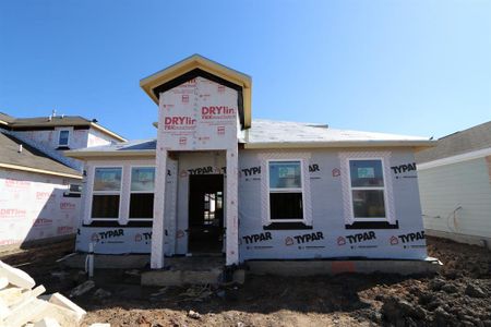New construction Single-Family house 13913 Gilwell Dr, Del Valle, TX 78617 Walton- photo 4 4