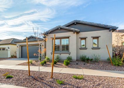 New construction Single-Family house 9724 E Ripple Drive, Mesa, AZ 85212 - photo 2 2