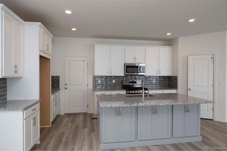 New construction Single-Family house 1889 Water Birch Way, Castle Rock, CO 80108 - photo 8 8