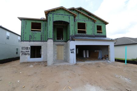 New construction Single-Family house 12383 Hilltop Farms Drive, Dade City, FL 33525 Malibu- photo 25 25