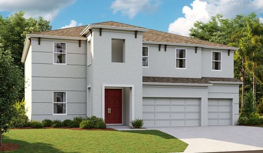 New construction Single-Family house 6131 Hidden Branch Drive, Apollo Beach, FL 33572 Virginia Park- photo 3 3
