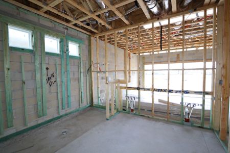 New construction Single-Family house 31835 Sapna Chime Drive, Wesley Chapel, FL 33545 Salinas- photo 35 35