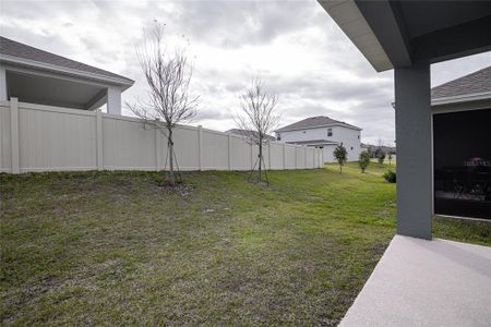 New construction Single-Family house 4472 Lions Gate Avenue, Clermont, FL 34711 - photo 31 31