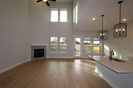 New construction Single-Family house 1037 Pansy Trail, Georgetown, TX 78628 Belmont II- photo 24 24