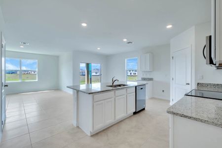 New construction Single-Family house 5297 Greenheart Avenue, Mount Dora, FL 32757 - photo 42 42