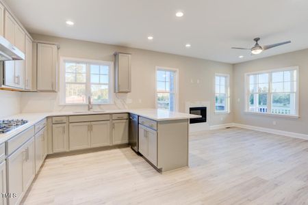 New construction Condo/Apt house 7996 Humie Olive Road, Apex, NC 27502 - photo 8 8