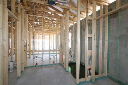 New construction Single-Family house 31843 Sapna Chime Drive, Wesley Chapel, FL 33545 Picasso- photo 30 30