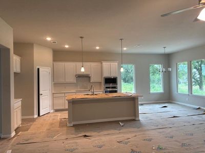 New construction Single-Family house 1120 Trinity Drive, Springtown, TX 76082 Verbena FE- photo 9 9