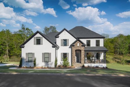 New construction Single-Family house Penny Royal Ave, Fort Mill, SC 29715 - photo 7 7