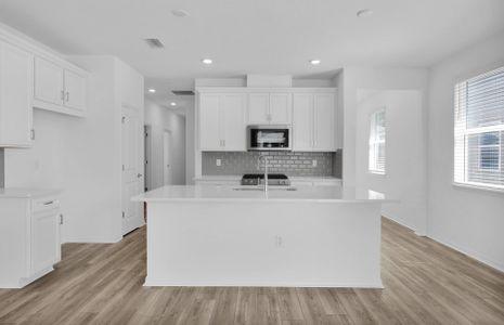 New construction Single-Family house 205 Cedar Preserve Lane, Saint Augustine, FL 32095 - photo 13 13