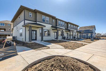 New construction Townhouse house 755 Pokeweed Ln, Fort Collins, CO 80524 Grove- photo 2 2