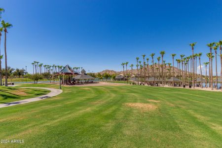 New construction Single-Family house 16041 S 184Th Drive, Goodyear, AZ 85338 - photo 49 49