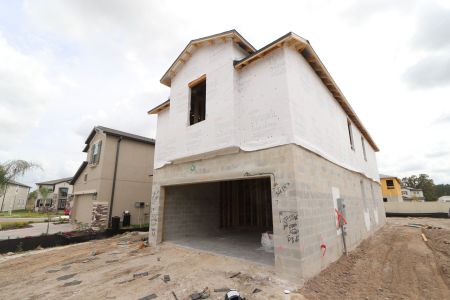 New construction Single-Family house 2463 Sunny Pebble Loop, Zephyrhills, FL 33540 Castellana- photo 23 23