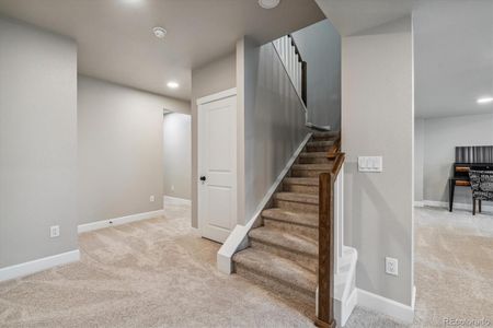 New construction Single-Family house 11829 Zebra Grass Way, Parker, CO 80138 - photo 20 20