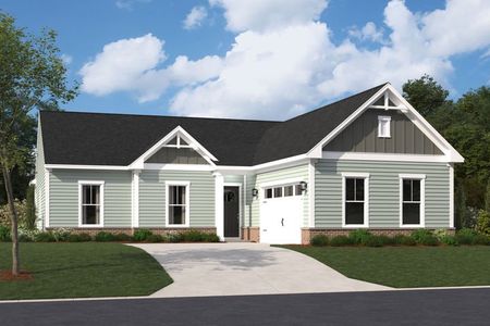 New construction Single-Family house The Salters, 134 Falls Village Drive, Durham, NC 27703 - photo