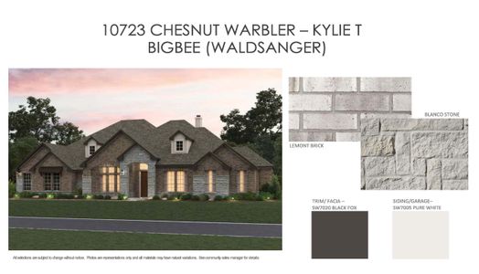 New construction Single-Family house 10723 Chestnut Warbler, New Braunfels, TX 78132 Kylie Homeplan- photo 20 20