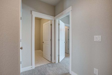 New construction Townhouse house 6248 Vernazza Way, Windsor, CO 80550 - photo 208 208