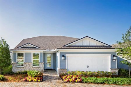 New construction Single-Family house 9246 Barrier Coast Trail, Parrish, FL 34219 - photo 0