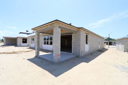 New construction Single-Family house 2473 Clary Sage Drive, Spring Hill, FL 34609 Corina II- photo 8 8