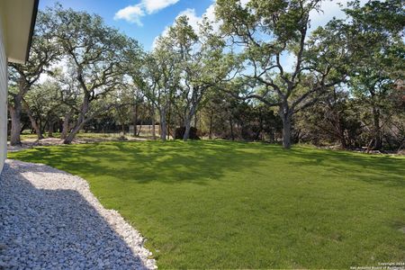 New construction Single-Family house 1409 Green Meadow, Spring Branch, TX 78070 - photo 19 19