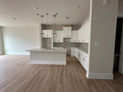 New construction Single-Family house 8408 Pech Landing Drive, Houston, TX 77055 - photo 8 8
