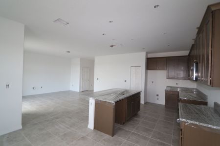 New construction Single-Family house 5238 Currant Street, Lakeland, FL 33811 Marina- photo 52 52