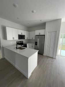 New construction Single-Family house 26 Fisher Trail Terrace, Ocklawaha, FL 32179 - photo 4 4