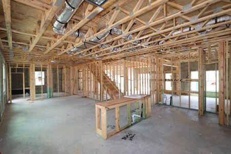New construction Single-Family house 9611 Crescent Ray Drive, Wesley Chapel, FL 33545 Dali- photo 37 37