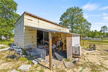 New construction Single-Family house 13348 Ester Drive, Brooksville, FL 34613 - photo 51 51