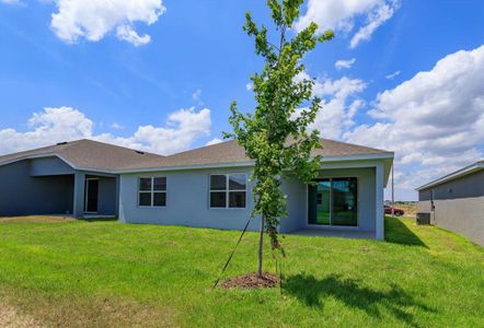 New construction Single-Family house 5827 Wallis Lane, Saint Cloud, FL 34771 Mulberry- photo 19 19