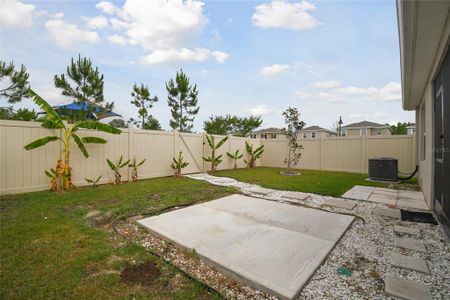 New construction Single-Family house 3387 Suncoast Plains Drive, Odessa, FL 33556 - photo 39 39