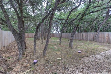 New construction Single-Family house 165 Water Oak Ln, Canyon Lake, TX 78133 - photo 21 21